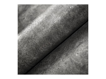 Арья 002